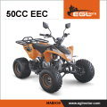 50CC ATV FOR KIDS QUAD EEC BUGGY ENGINE FROM ZS